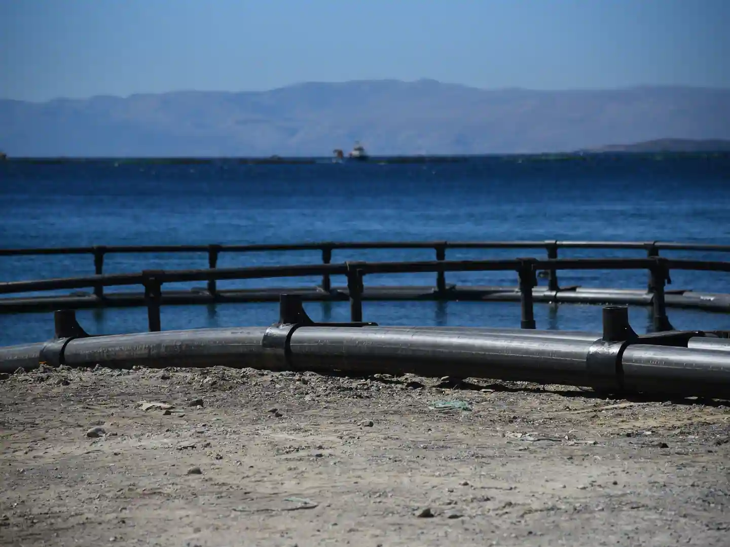 Sea Bass / Sea Bream Farm — İzmir, Türkiye — 2023