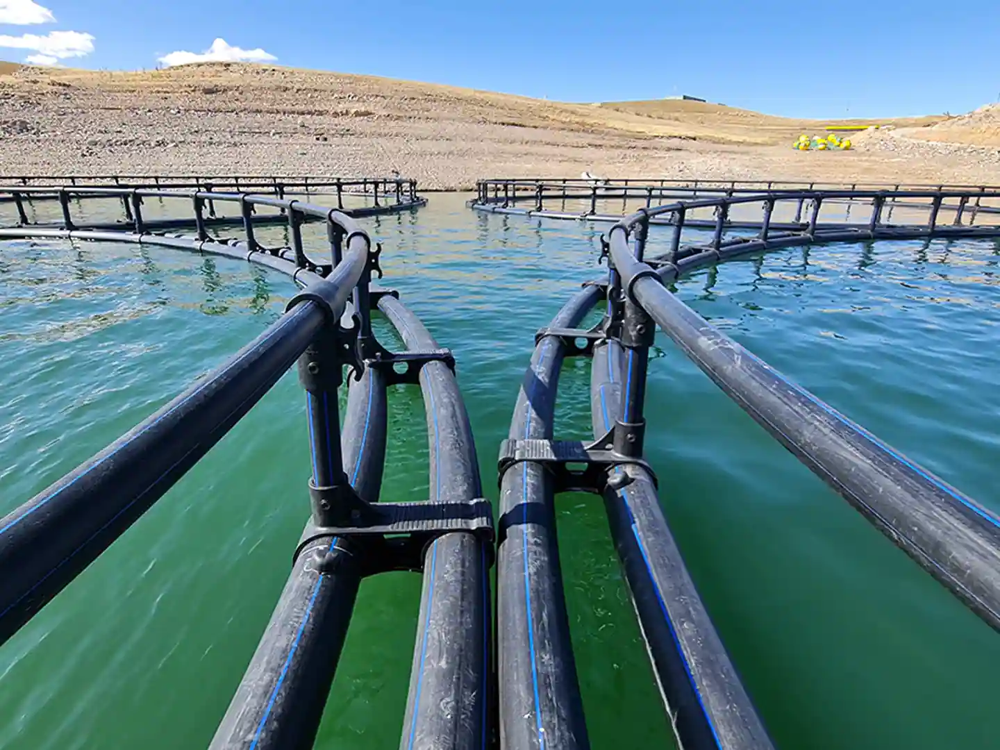 Trout Farm — Eastern Kazakhstan — 2024