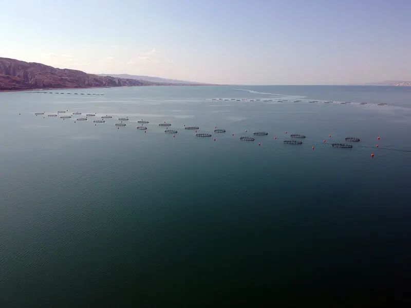 ASAKUA fish farming system — circular polyethylene cage, THOR bracket, net