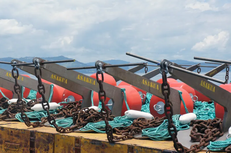 ASAKUA mooring system — buoy, marine rope, chain, hardware