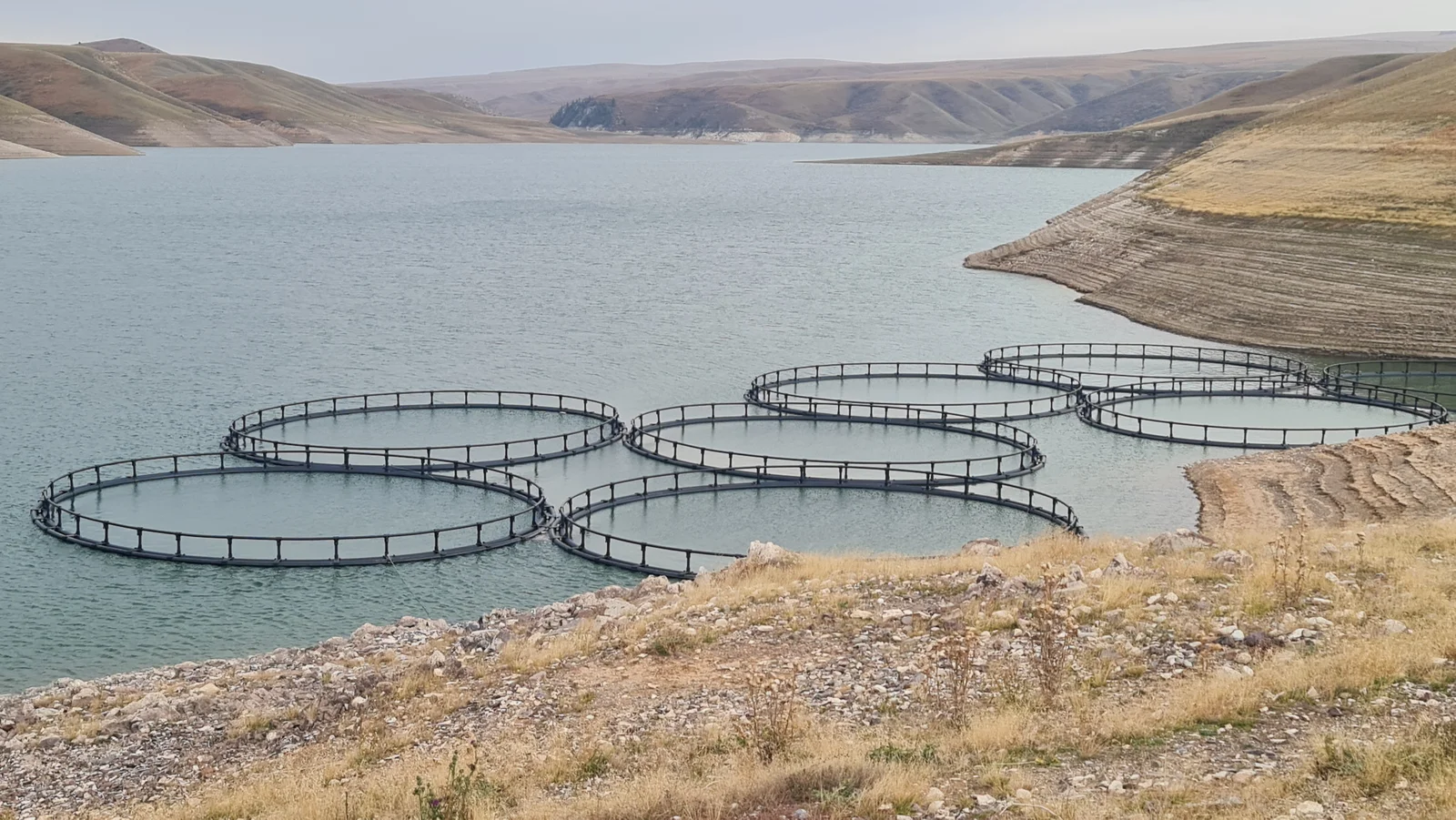 Balık Kafesi Sistemleri — 3