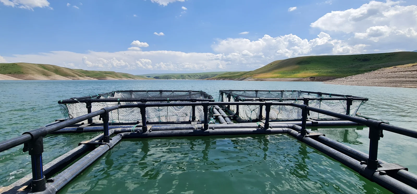 Balık Kafesi Sistemleri — 5