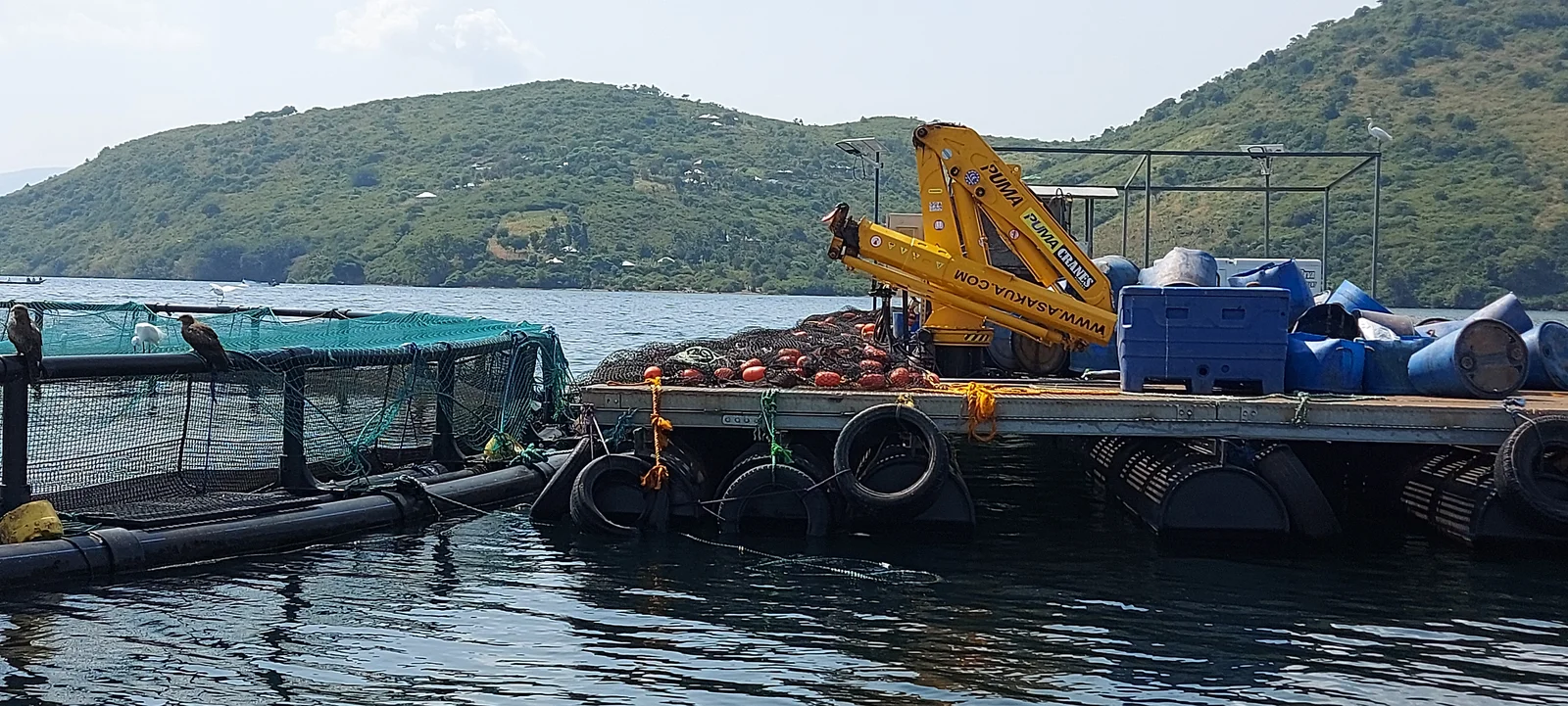 Yüzer Platform — 4