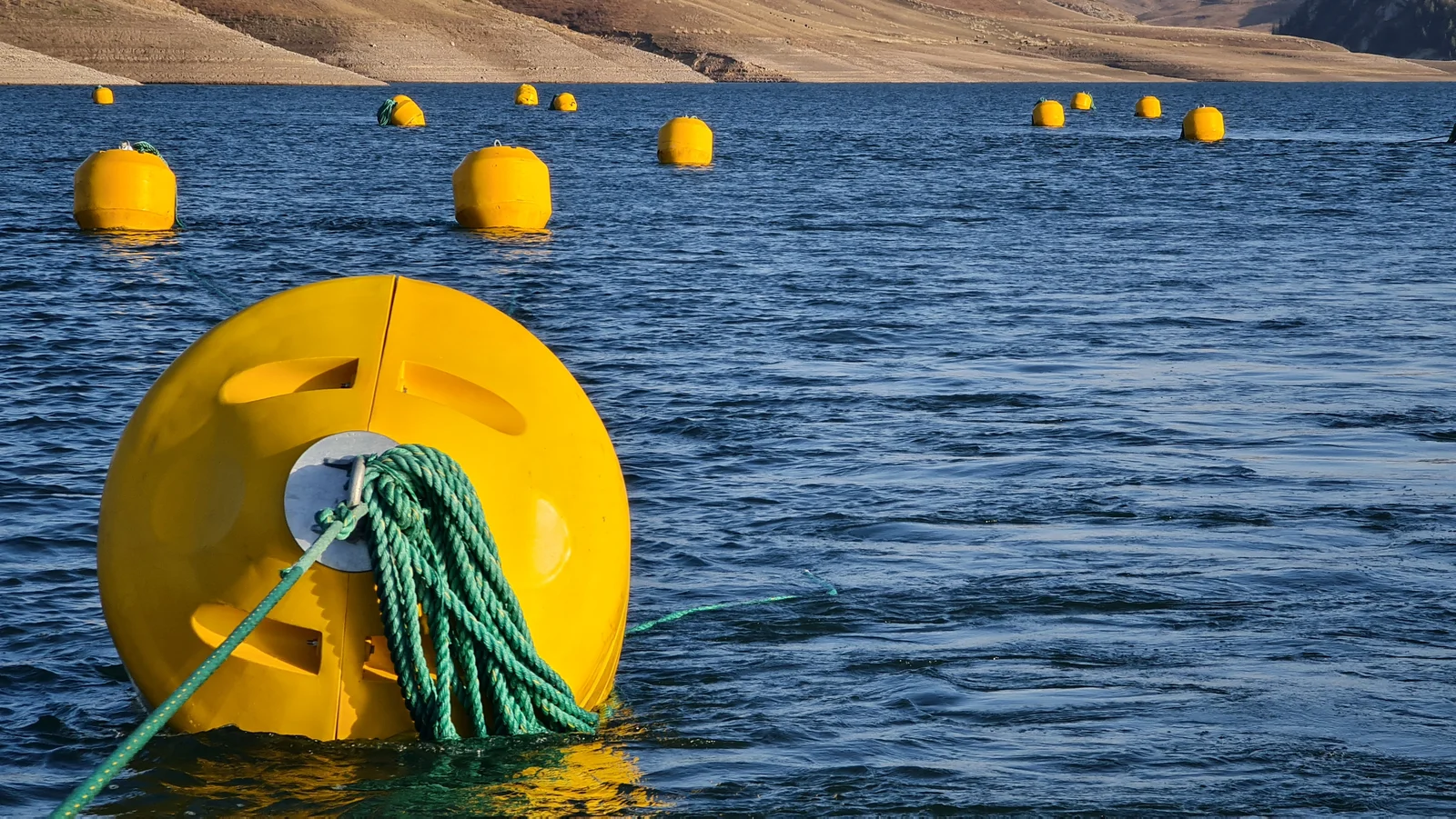 Demirleme Şamandrası — 2