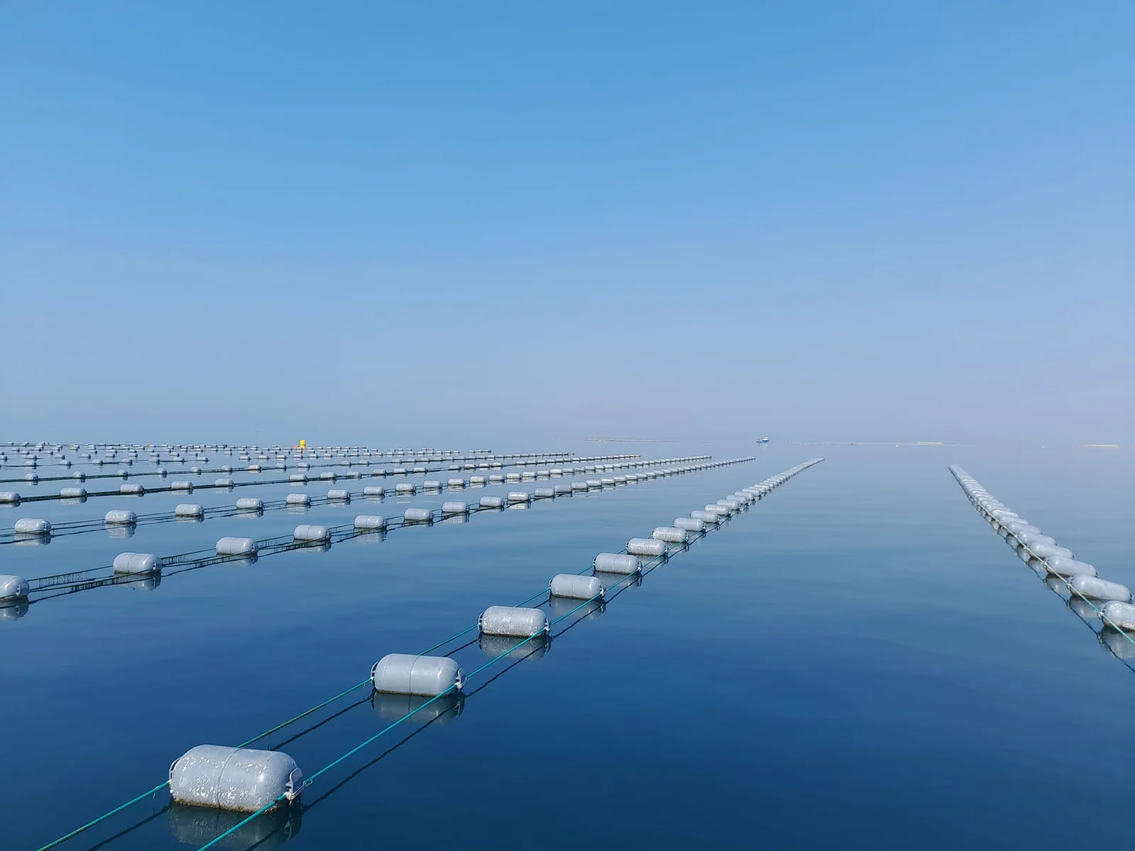 Mussel Farming Buoy — 2