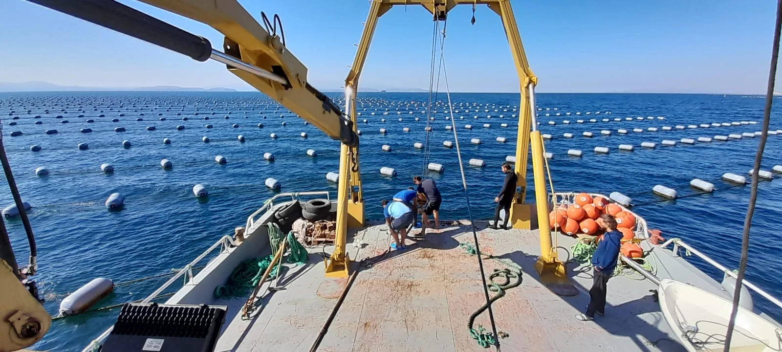 Mussel Farming Buoy — 4